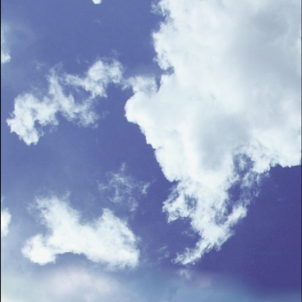 Meet your Posher, Breanna